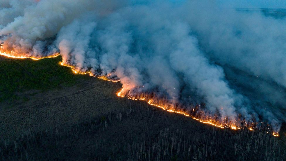 Wildfire Threatens Canadian Towns, Evacuations Ordered by Government