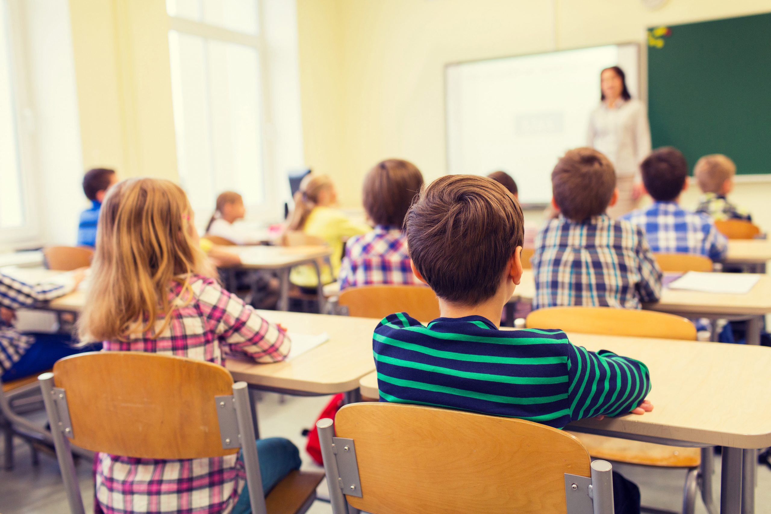 Florida Teachers Sue State Over Pronoun Ban in Schools