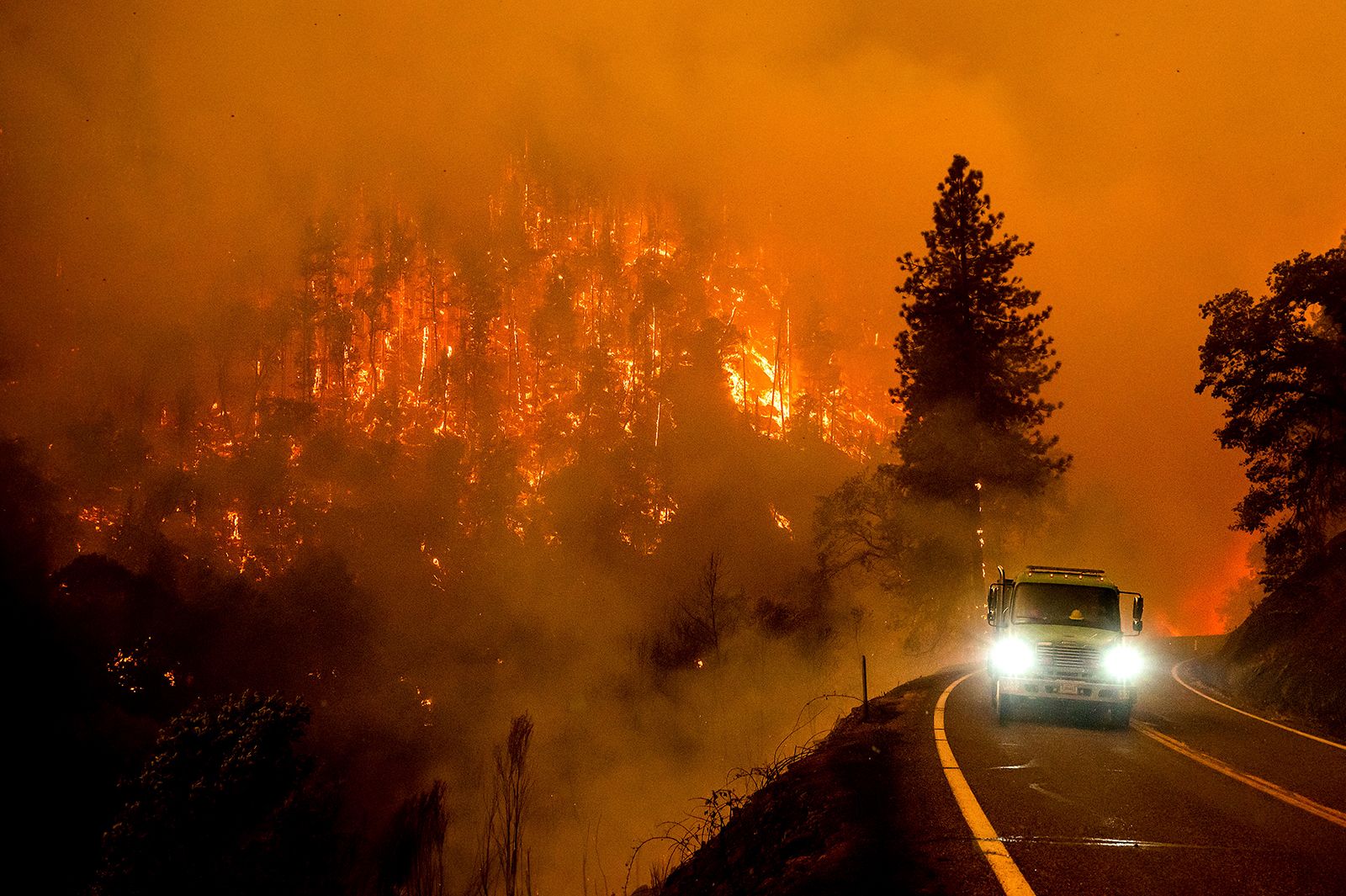 US government allocates $930 million for forest management in wildfire-affected states