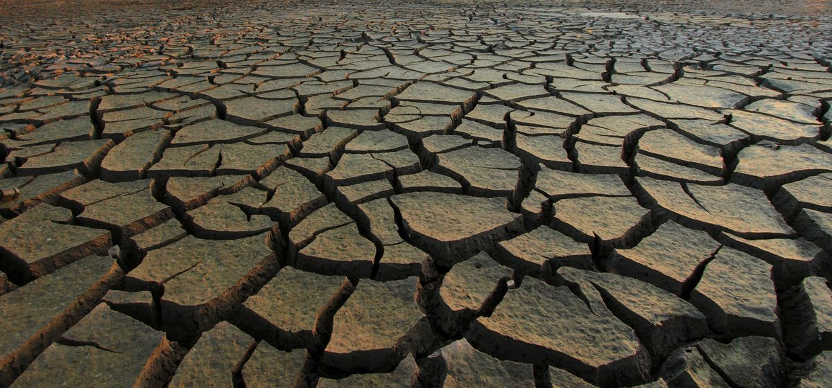 Tunisia starts water cut-offs as severe drought takes toll on the country