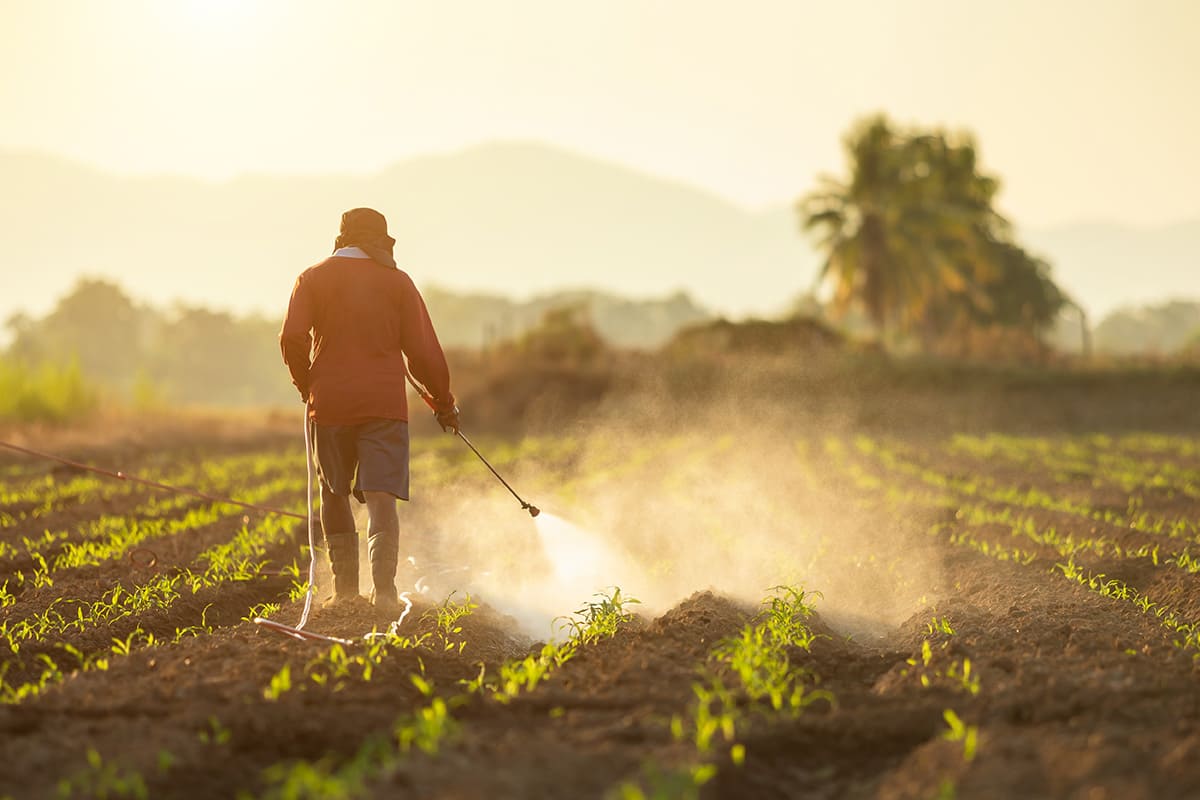 Underreported: US Food Pesticides Found Contaminated with Toxic ‘Forever Chemicals’, Study Shows