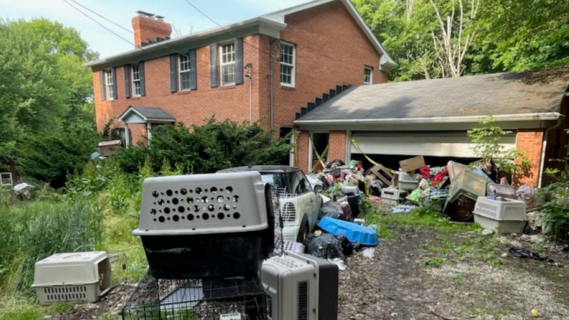146 Dogs Found Dead at Animal Rescue President’s Home