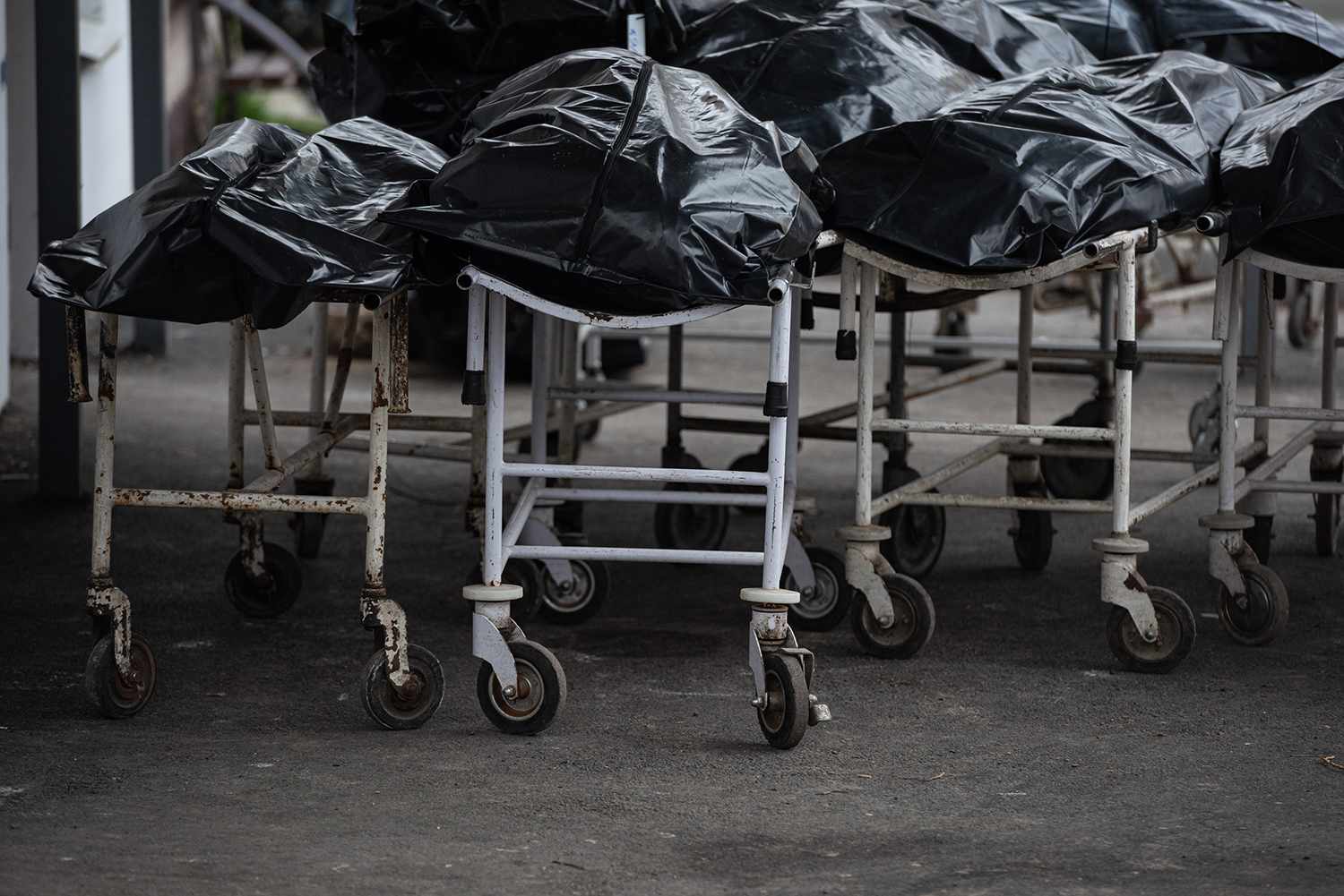 Harvard Morgue Manager Accused of Selling Body Parts