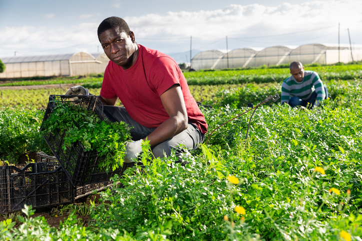 Farmers Can Now Apply for Discrimination Relief through USDA