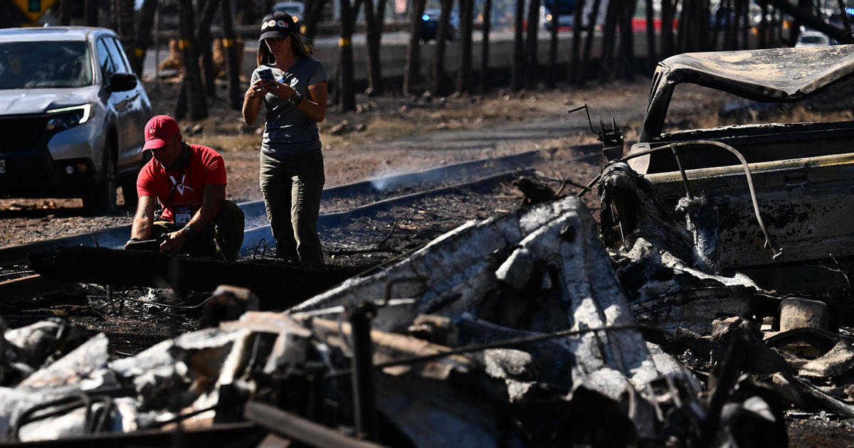 Maui County Appoints New Emergency Management Head Amid Fire Crisis