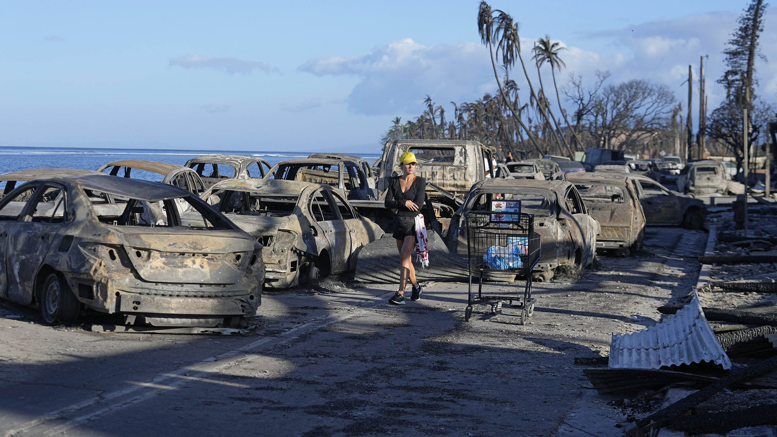 Government Report on Lahaina Fire Blames Downed Power Lines