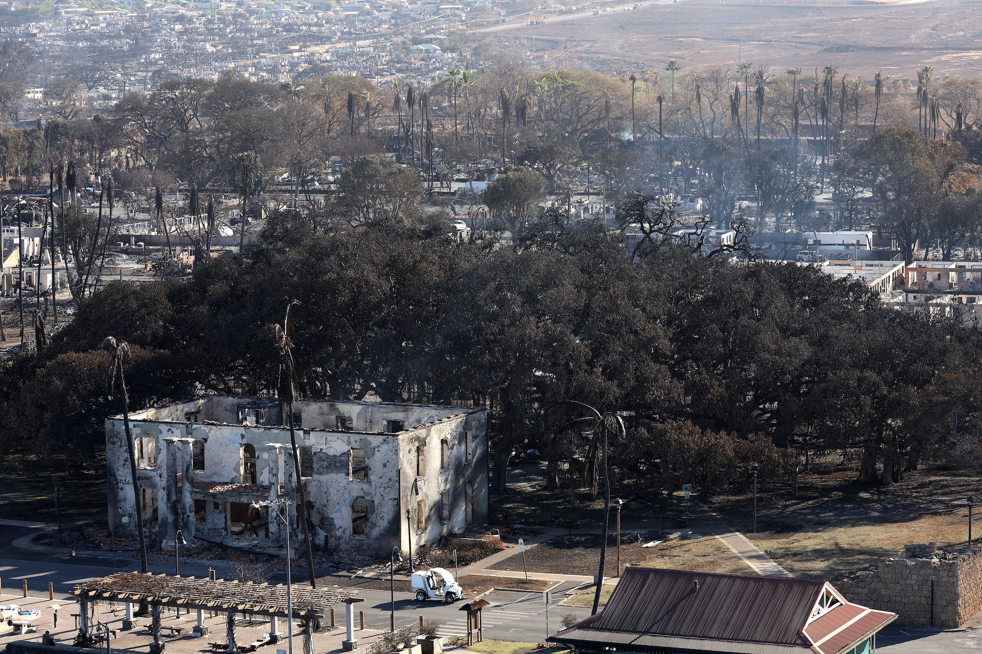 Landowners Sued over Role in Hawaii Wildfires’ Spread