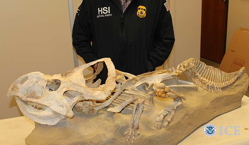 Four Charged Over Alleged Dinosaur Bone Trafficking to China