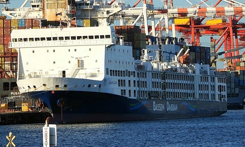 Stranded Livestock Ship Off Australian Coast Raises Welfare Concerns