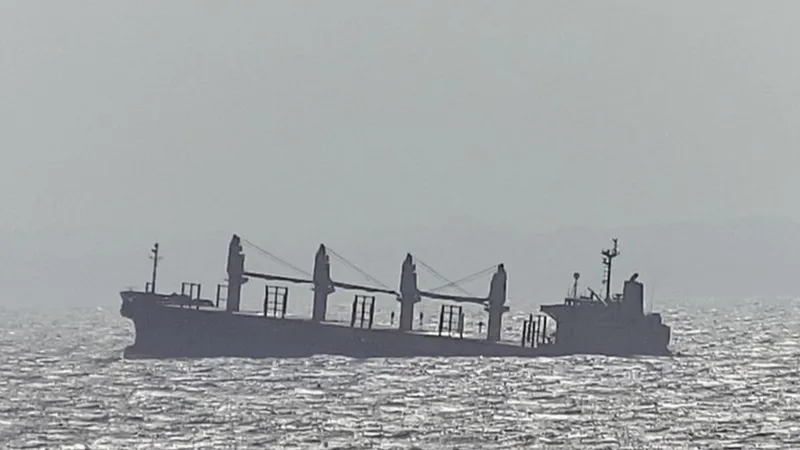 US Military Labels Houthi Attack on Cargo Ship an Environmental Disaster