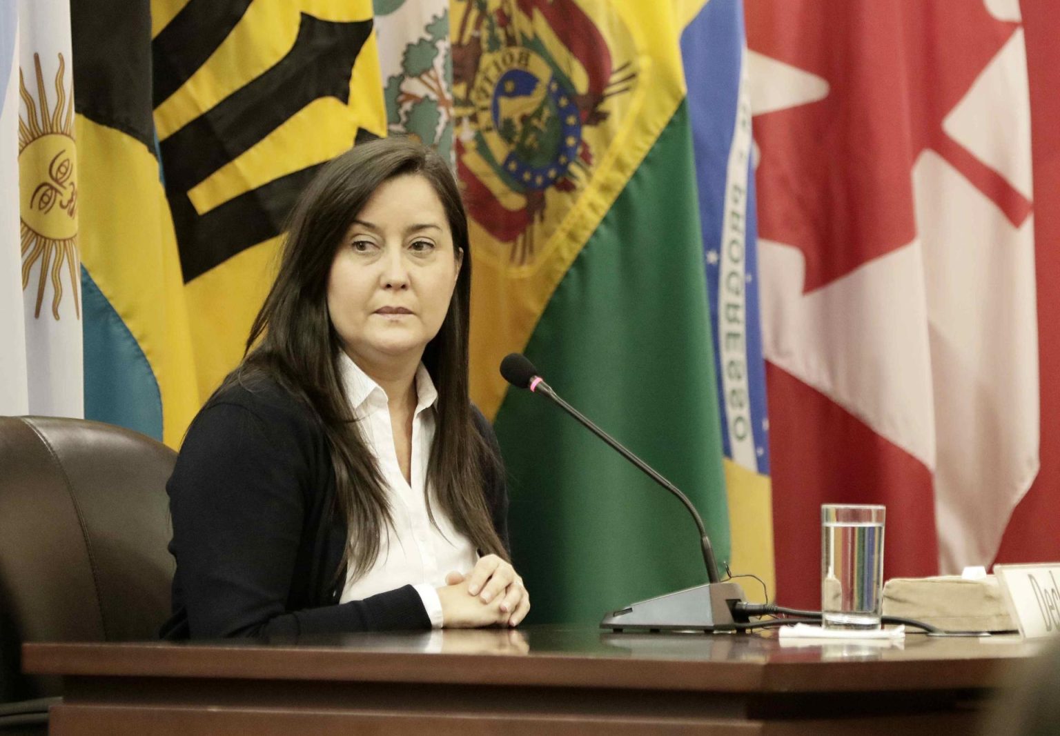 US Expresses Concern Over Arrest of Venezuelan Activist Rocio San Miguel