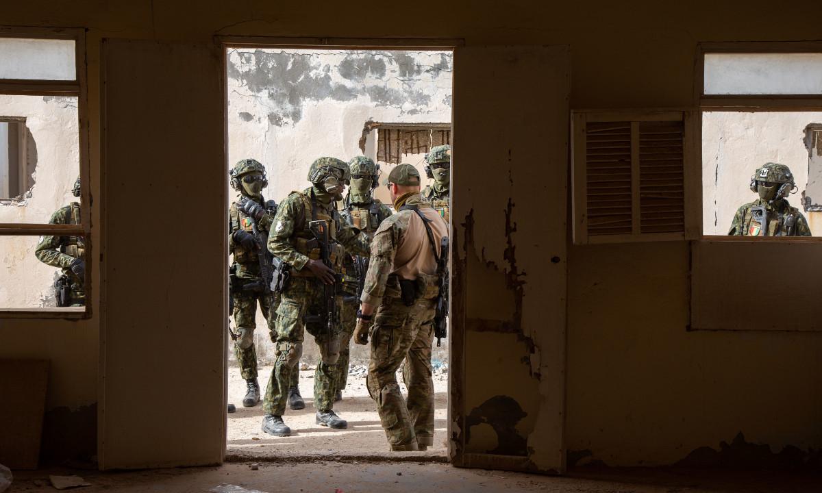 Pentagon Requests Congress Approval to Expand Special Operations Authority, Seeks to Expand Training for Friendly Nations to Defend Against Invasions, Subversion