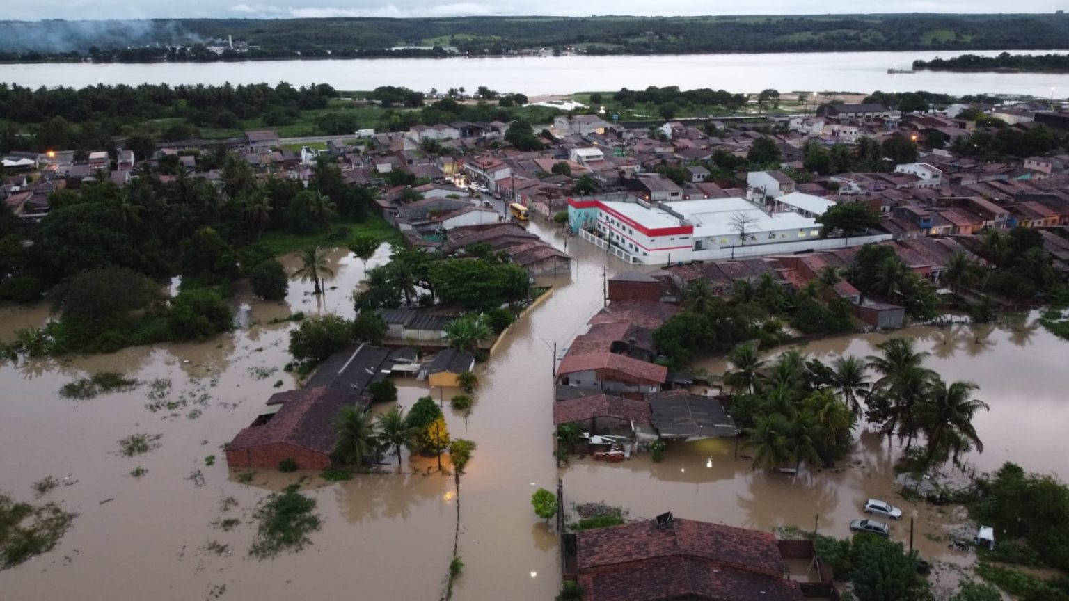 Pork Industry Severely Impacted in Brazil Following Floods that Killed 12,000+ Pigs