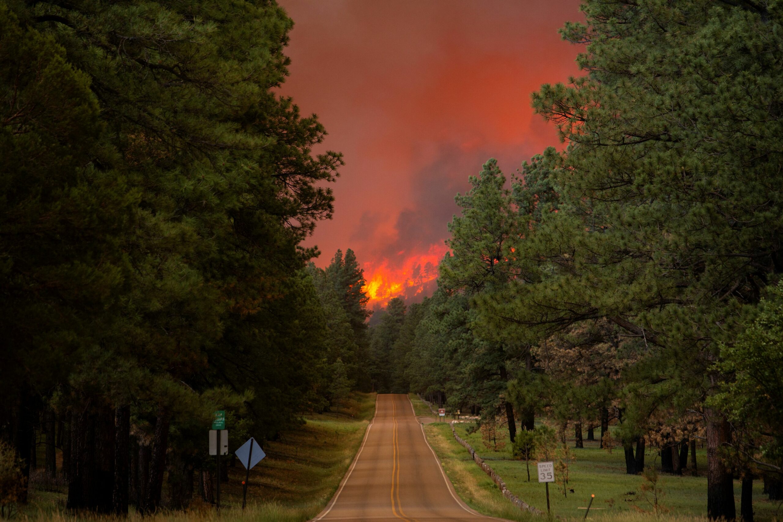 FBI Offers $10,000 Reward for Information on New Mexico Wildfires