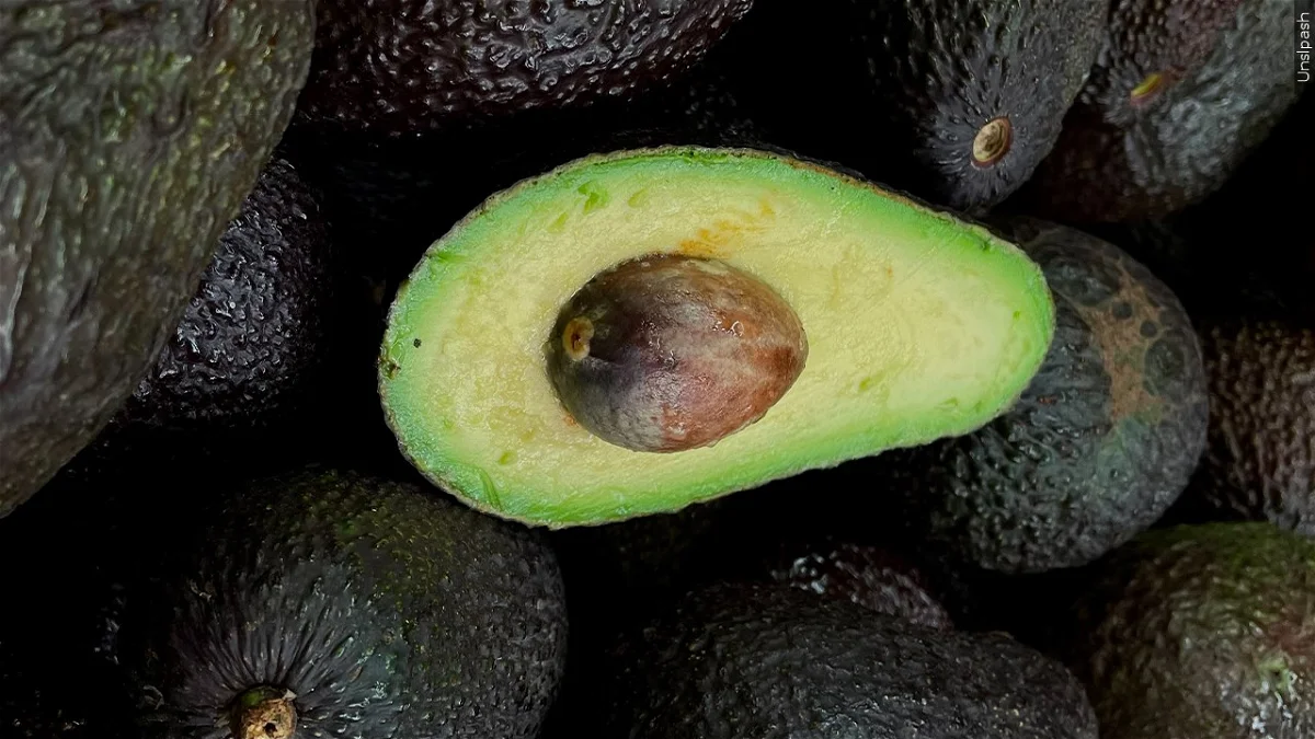 USDA Suspends Avocado & Mango Inspections in Michoacan Amid Security Concerns