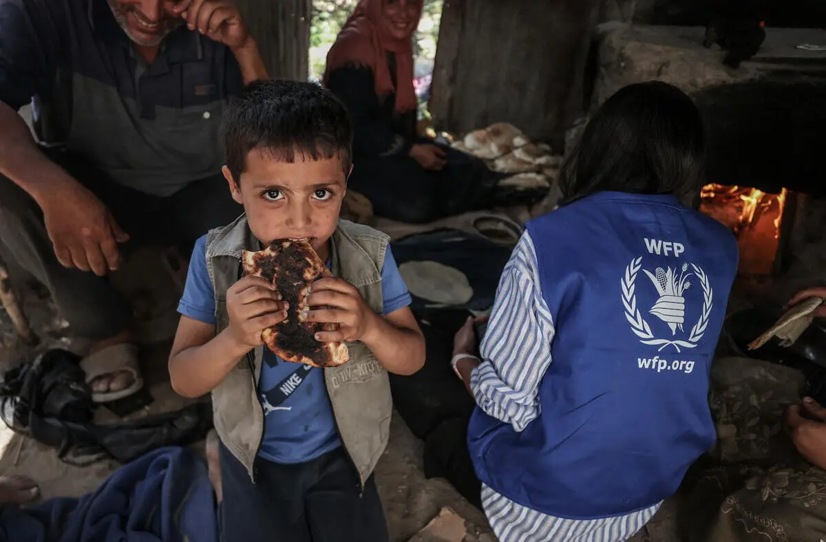 World Food Programme Halts Operations in Gaza Amid Safety Concerns