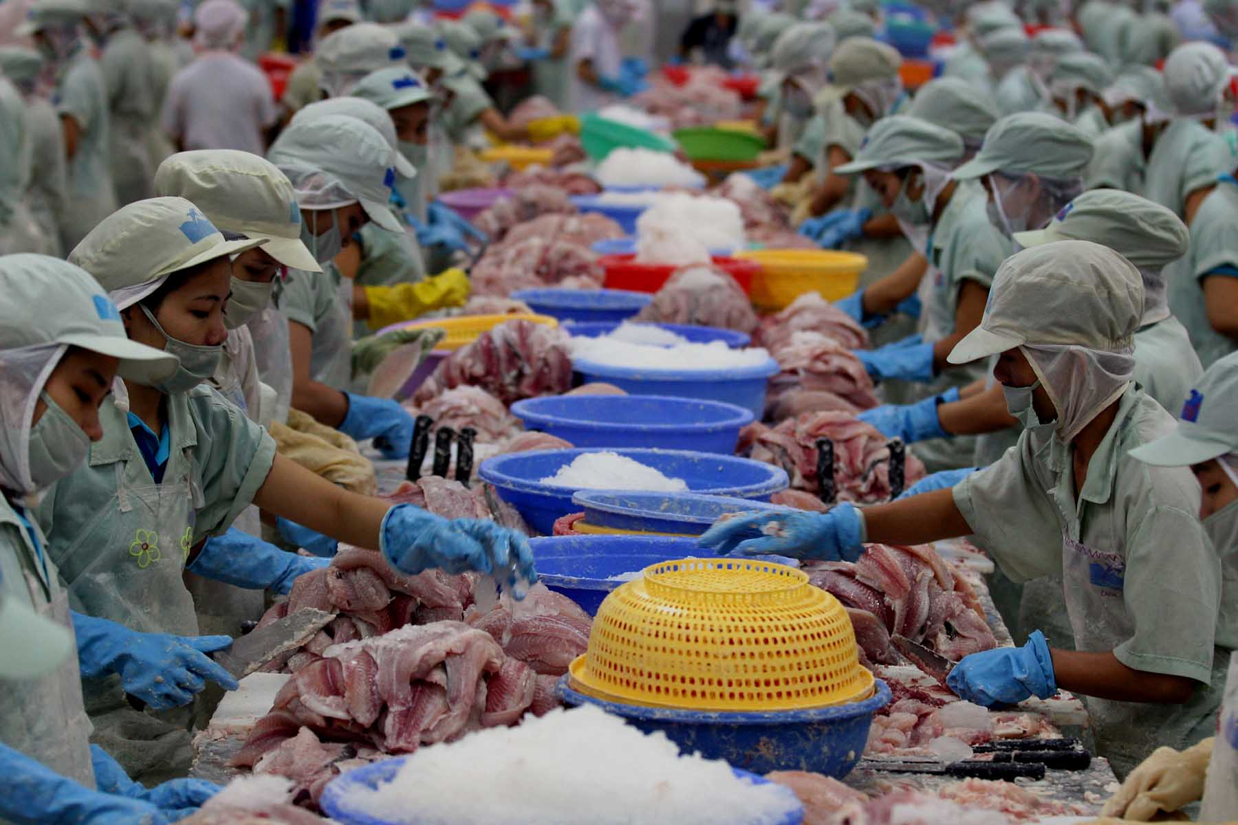Three Chinese Companies Added to US Export Ban Due to Forced Labor in China
