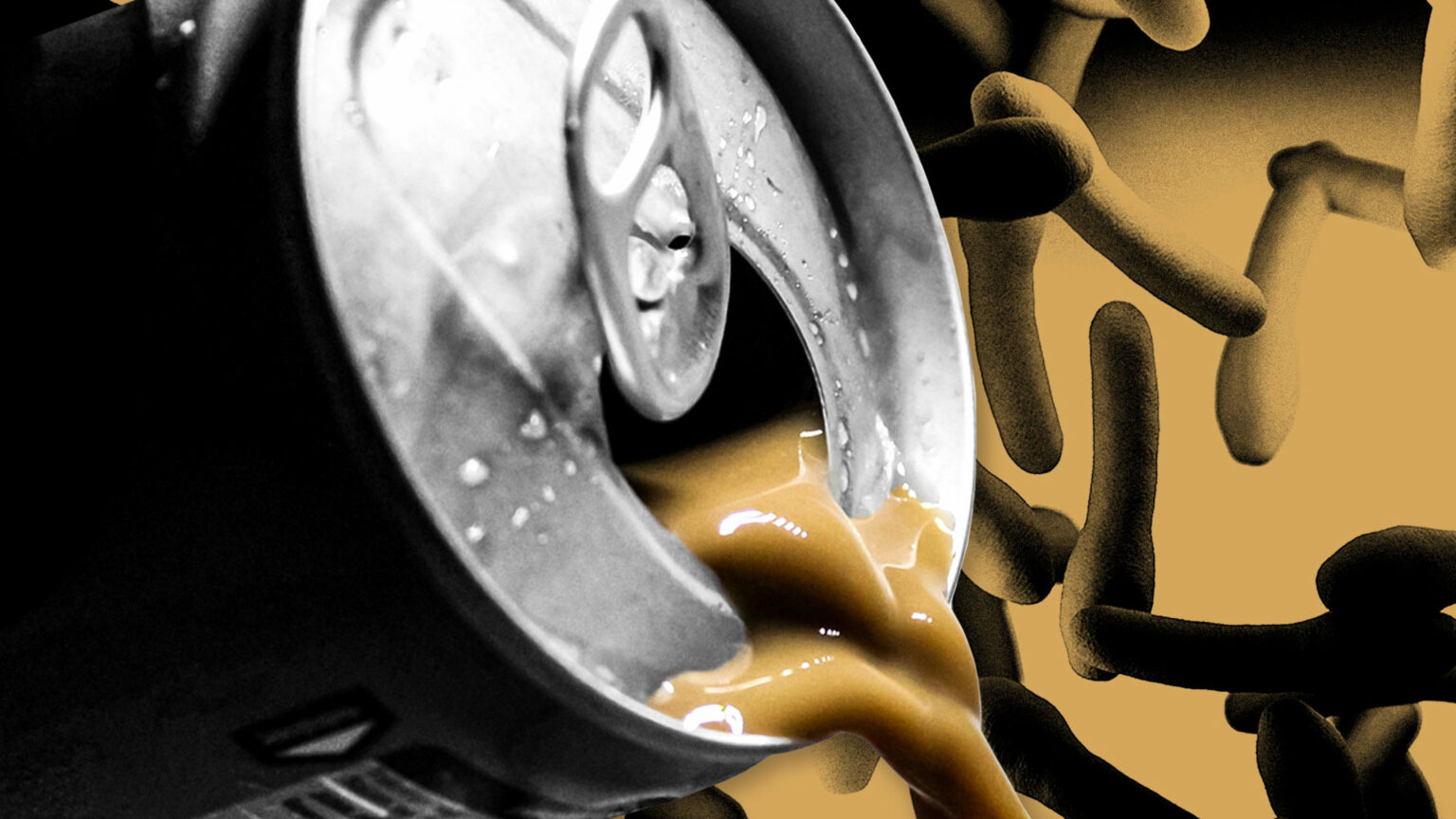 FDA Recalls Snapchill Canned Coffee Over Botulism Risk Real News No
