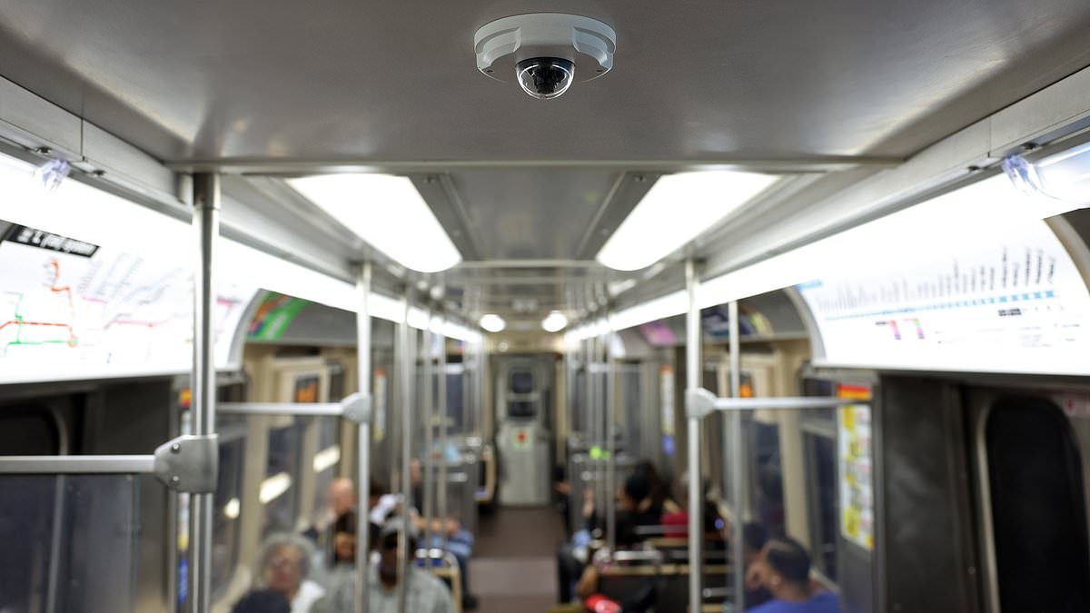 Four Killed While Sleeping on Chicago Train, Shooter Arrested