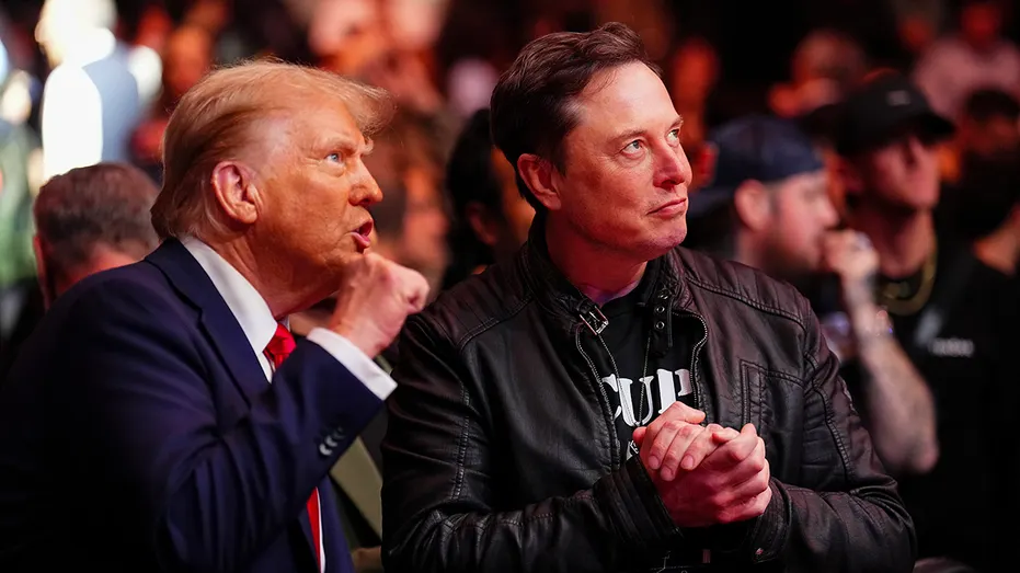 TikTok CEO Seeking Advice from Elon Musk Ahead of Trump Presidency