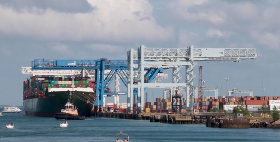 India and New Zealand Ink Free Trade Agreement