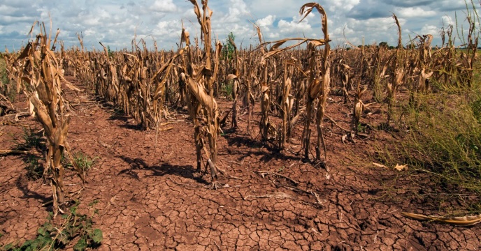 Trump Threatens Tariffs on Mexico Over Failure to Fulfill Water Obligations for Texas