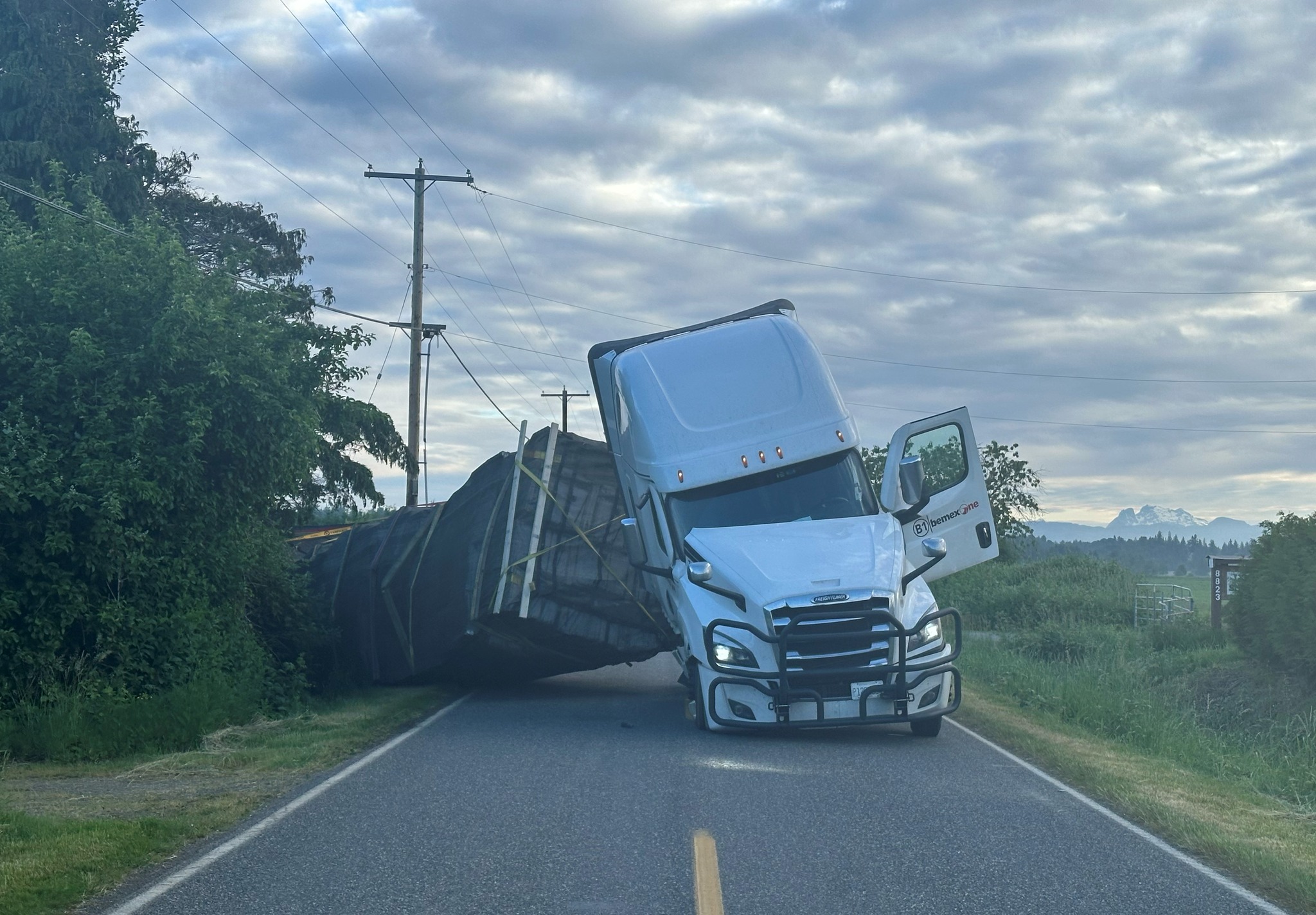 14 Million Bees Released After Truck Rolls in Washington