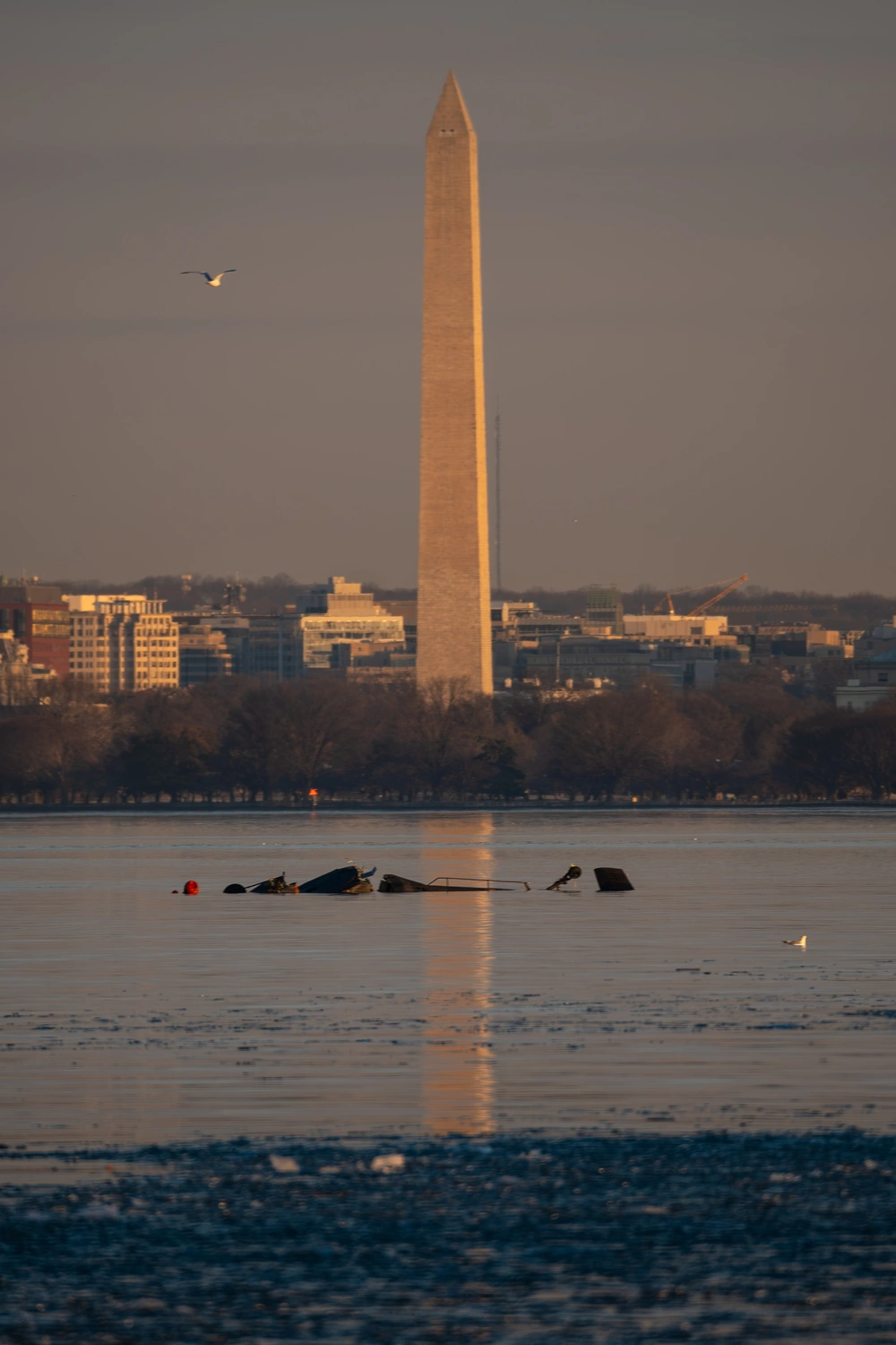 First Lawsuit Filed Over Deadly American Airlines–US Army Helicopter Crash in Washington DC That Killed 67