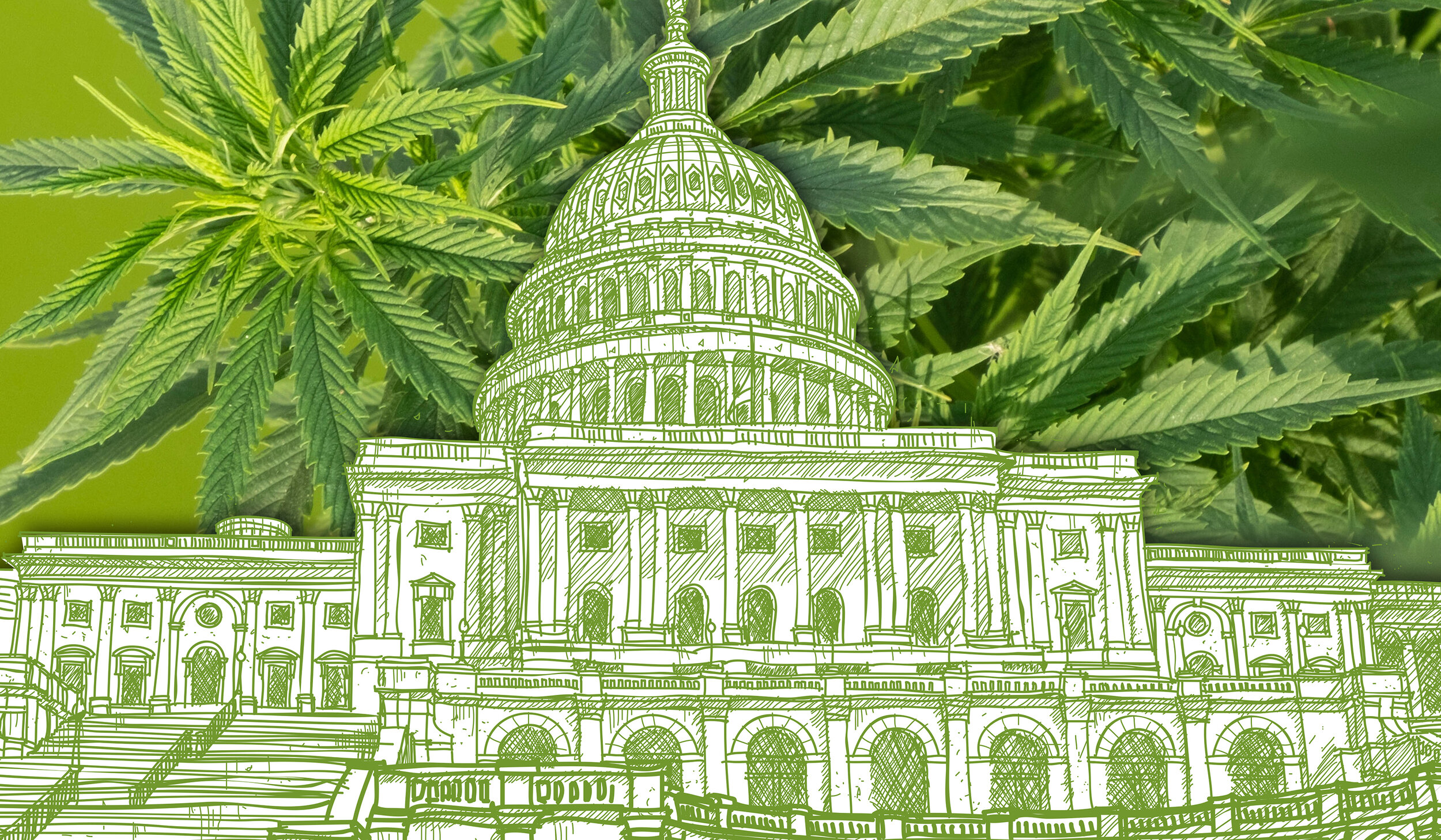 Republican Lawmaker Pushes to Remove Ban on Most Hemp Products that was Slipped Into Government Funding Bill