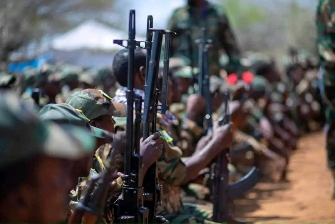 Somalia Launches Ground Operation Against Al-Shabab, Kills 27 Terrorists