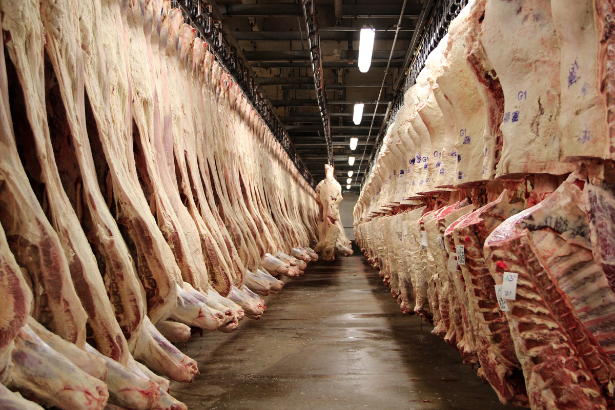 DOJ Opens Criminal Investigation Into Major Beef Processors Over Price Fixing Allegations