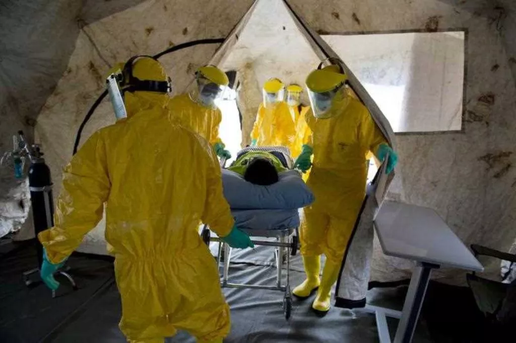 Officials in Switzerland Confirm First Case of Hantavirus Linked to Deadly Cruise Ship Outbreak