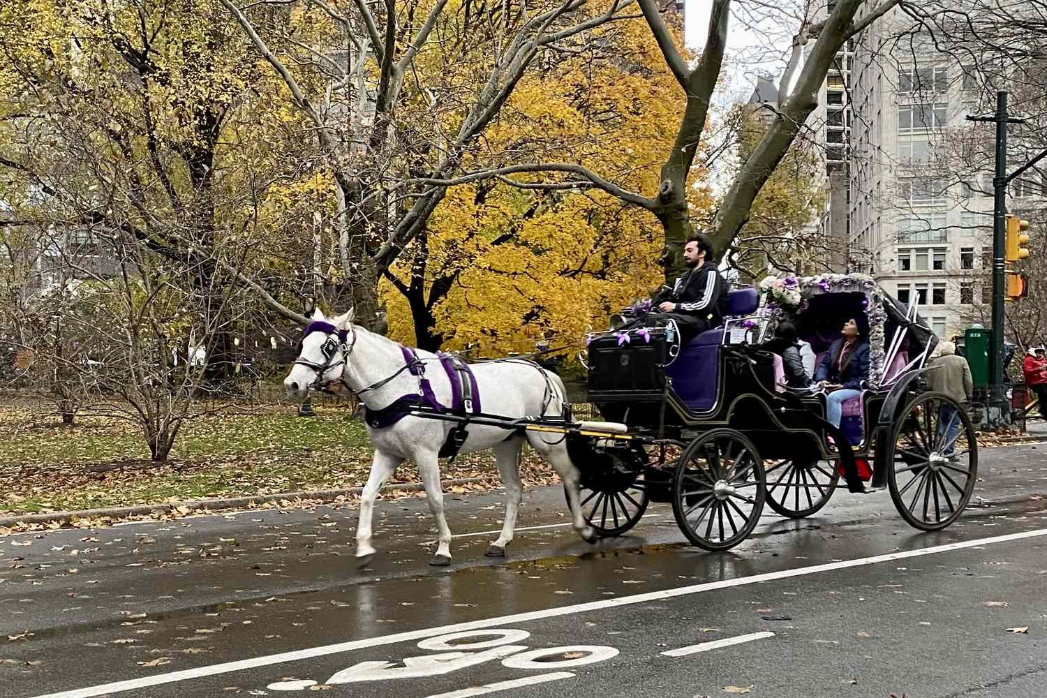 New York City Bans Central Park Horse Carriages, Unions Vow to Sue